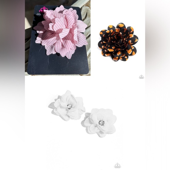 paparazzi Other - 🎉HP🎊🆕Bundle of hair clips